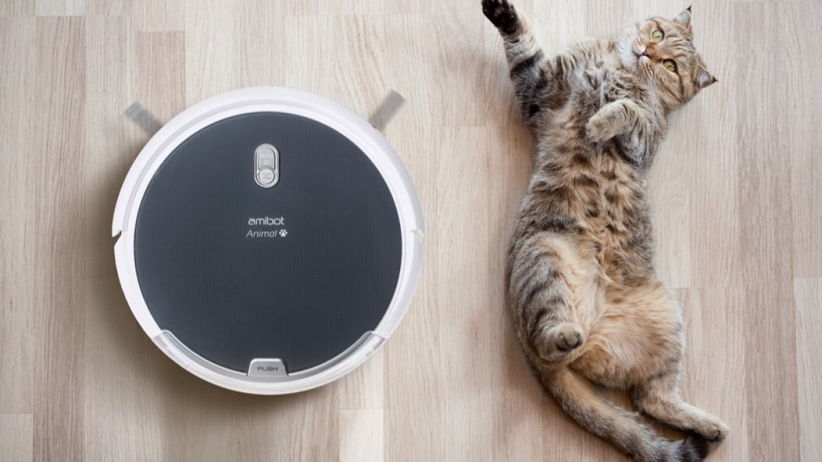 Poils de chien et chat : cet aspirateur robot est à 100 € moins cher  pendant 6 jours !