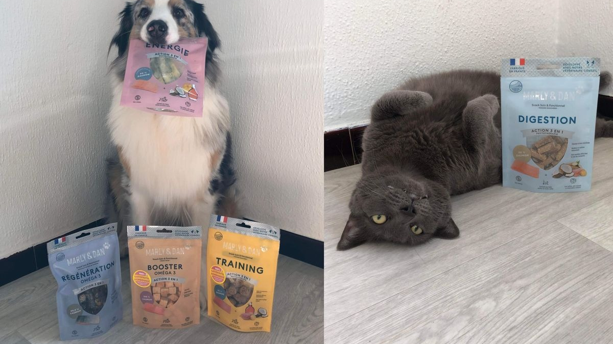 Illustration : "Faire plaisir à son animal autrement : Marly & Dan lance sa nouvelle gamme de snacks naturels, savoureux et fonctionnels pour chiens et chats"