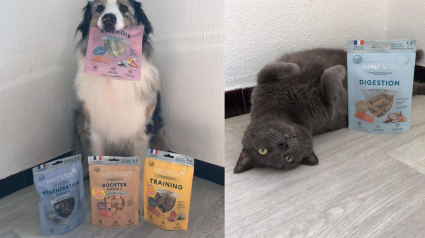 Illustration : Faire plaisir à son animal autrement : Marly & Dan lance sa nouvelle gamme de snacks naturels, savoureux et fonctionnels pour chiens et chats
