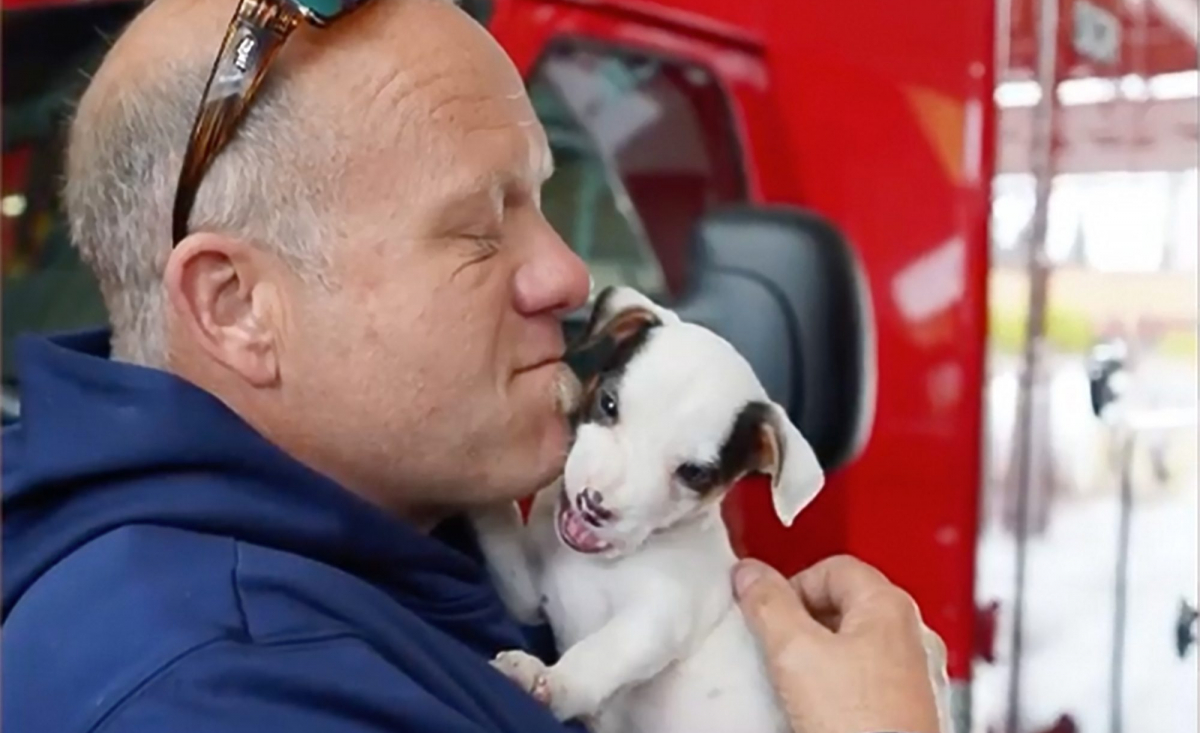 Illustration : "En intervenant sous un pont pour éteindre un incendie, une équipe de pompiers change pour toujours la vie d'un chiot (vidéo)"