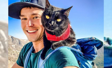 Illustration : "Kayak, randonnée, escalade, vélo, voile, ski : découvrez les aventures de ce chat et son maître"