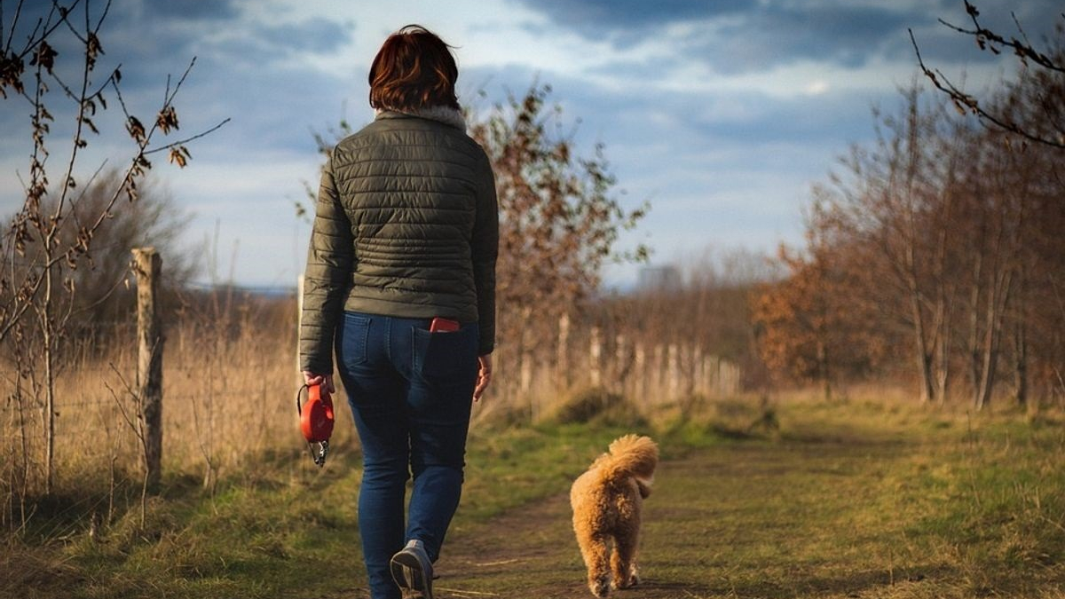 Illustration : "Les propriétaires de chiens sont plus heureux dans la vie que les personnes sans compagnon canin : cette étude le confirme !"