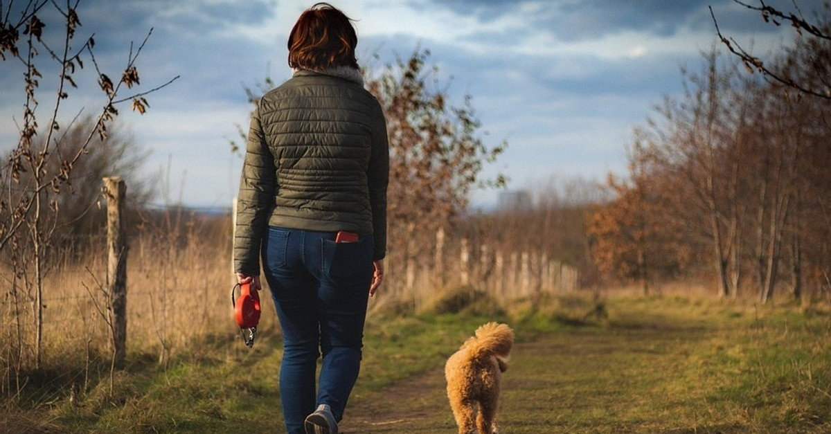 www.woopets.fr