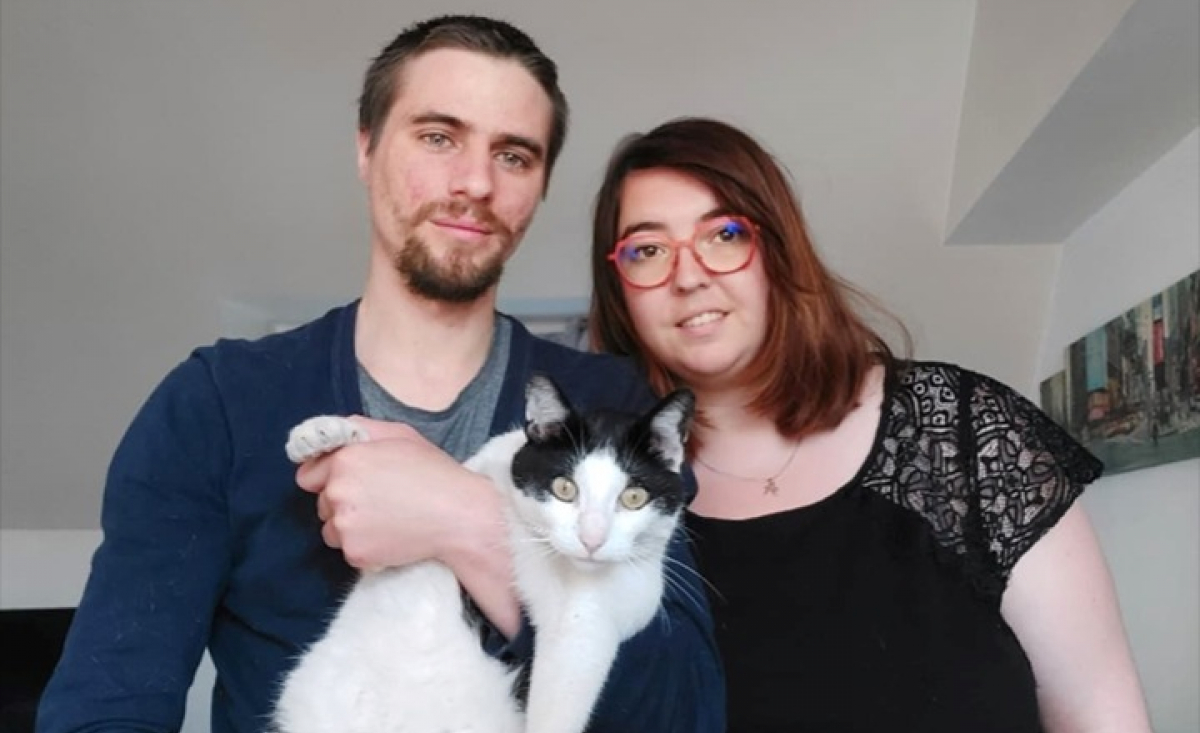 Illustration : "2 ans après sa disparition, un chat retrouve ses maîtres qui avaient déménagé"