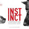 Illustration : « Instinct » : l'expo photo pour rendre hommage aux chiens et aux chats présentée par Royal Canin à découvrir du 19 mai au 19 août 