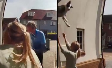 Illustration : "Grâce à un réflexe héroïque, une femme sauve un chien ayant sauté par la fenêtre d'une maison (vidéo)"