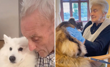 Illustration : "Dans cette maison de retraite, 2 chiens font le bonheur des résidents en leur apportant joie et affection (vidéo)"