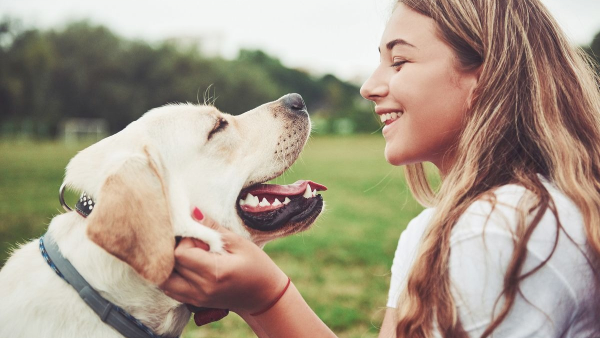 Illustration : "6 bienfaits que peut avoir un chien sur votre santé mentale"