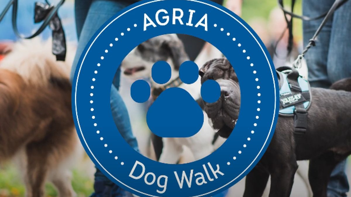 Illustration : "Agria Dog Walk 2022 : une marche pour aider les chiens abandonnés le weekend des 21 et 22 mai"