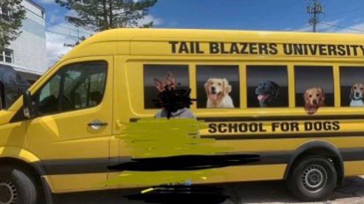 Illustration : "Le minibus d'une pension canine avec des chiens à bord disparaît, la police se lance à sa recherche"