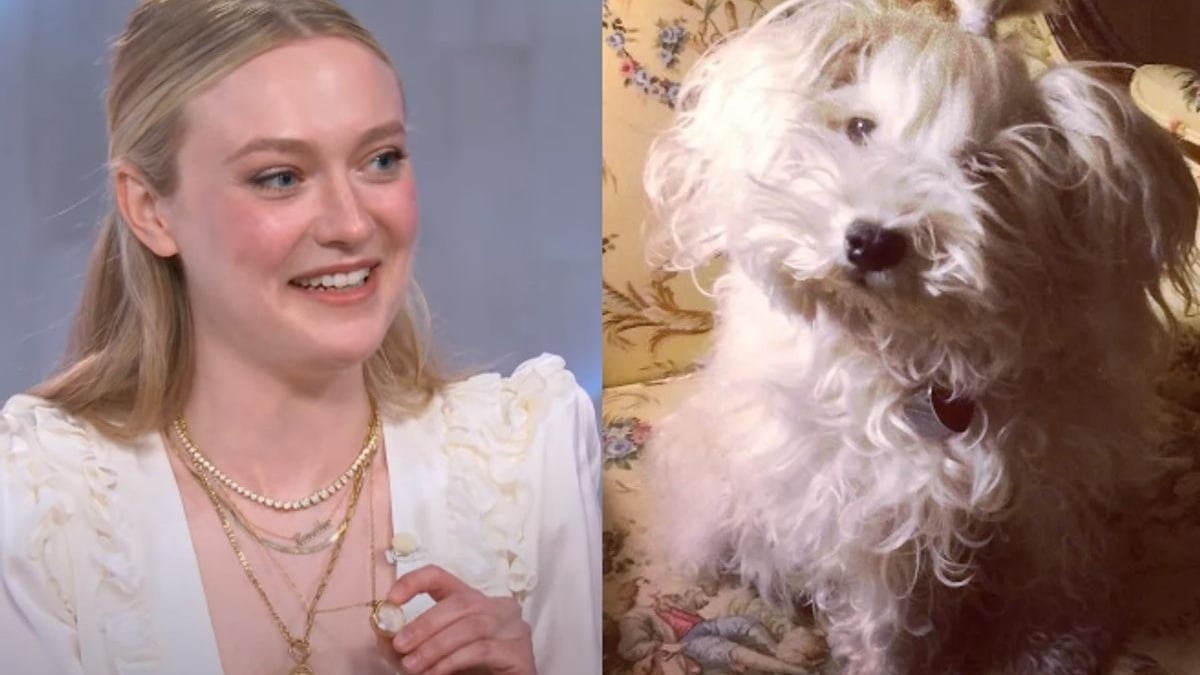 Illustration : "L'actrice Dakota Fanning se confie sur le précieux souvenir qu'elle garde de son défunt chien"