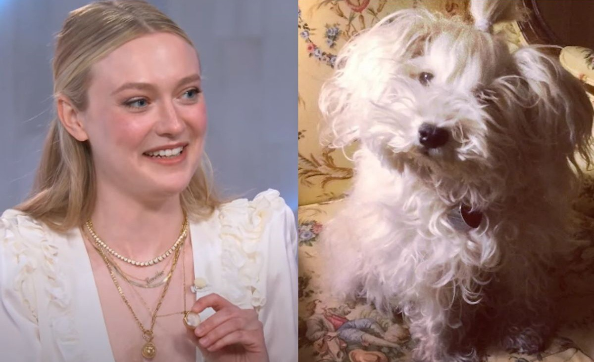 Illustration : "L'actrice Dakota Fanning se confie sur le précieux souvenir qu'elle garde de son défunt chien"