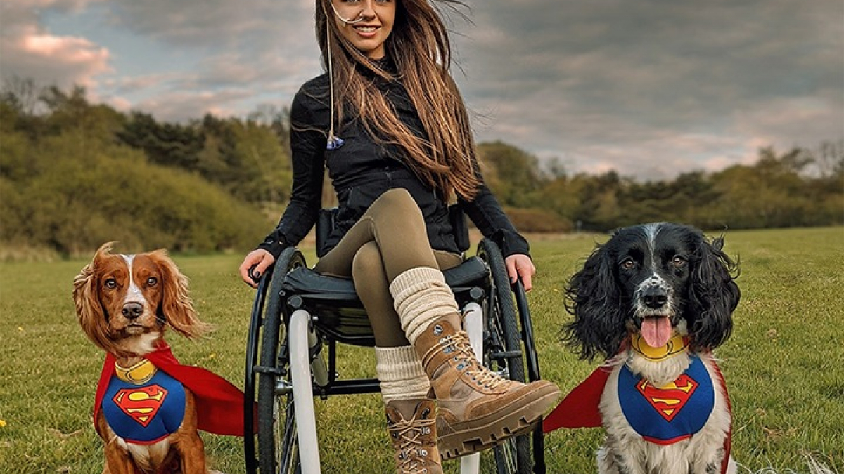 Illustration : "Deux chiens d’assistance aident à modifier la perception des enfants face aux personnes handicapées"