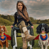 Illustration : Deux chiens d’assistance aident à modifier la perception des enfants face aux personnes handicapées