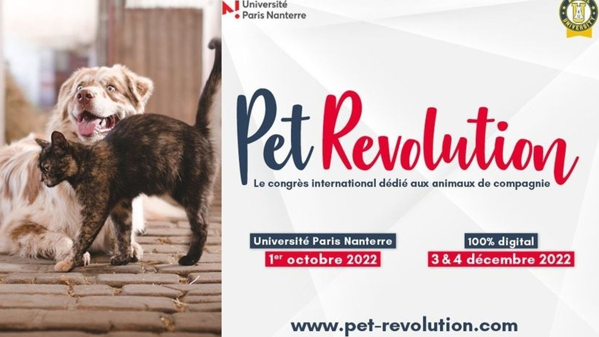 Illustration : "Pet Revolution : le 4e congrès international dédié aux animaux de compagnie aura lieu en présentiel et en ligne"