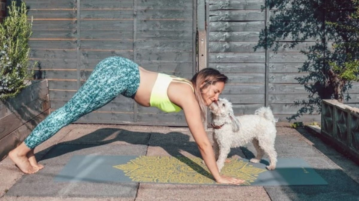 Illustration : "12 chiens qui vouent une véritable passion pour le yoga avec leur maîtresse"