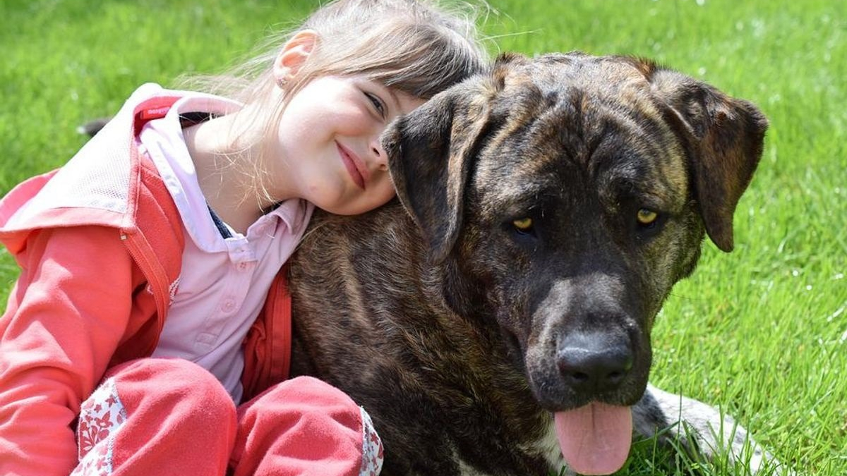 Illustration : "Les enfants ayant grandi avec un chien seraient mieux protégés contre la maladie de Crohn, d’après une étude"