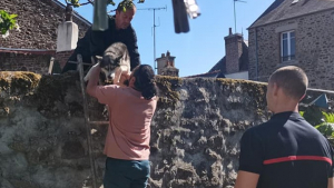 Illustration : Une chienne Husky abandonnée dans une cour sans eau ni nourriture en Bretagne est sauvée de justesse par un refuge