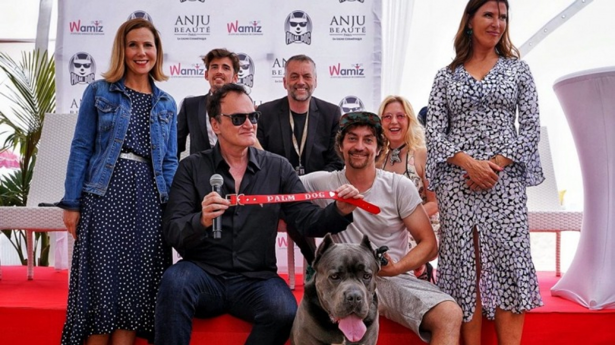 Illustration : "Palm Dog by Dogamì : les chiens stars du cinéma sont aussi récompensés à Cannes"
