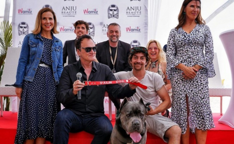Illustration : Palm Dog by Dogamì : les chiens stars du cinéma sont aussi récompensés à Cannes