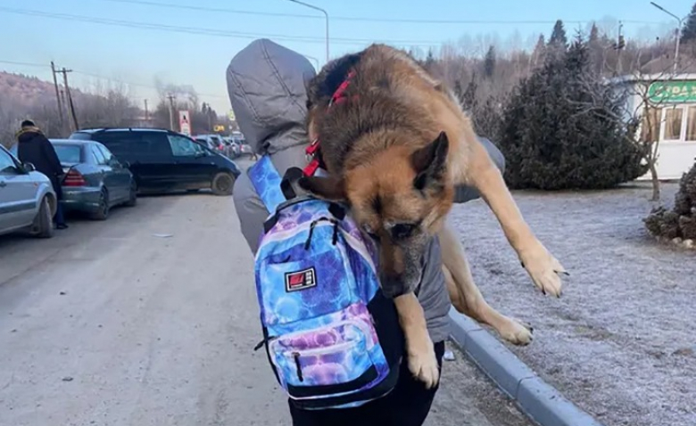 https://www.woopets.fr/assets/img/014/274/bannerbig2021/une-famille-fuyant-l-ukraine-transporte-sur-plus-de-17-kilometres-leur-chienne-agee-sur-le-dos-pour-ne-pas-l-abandonner-au-pays.jpg