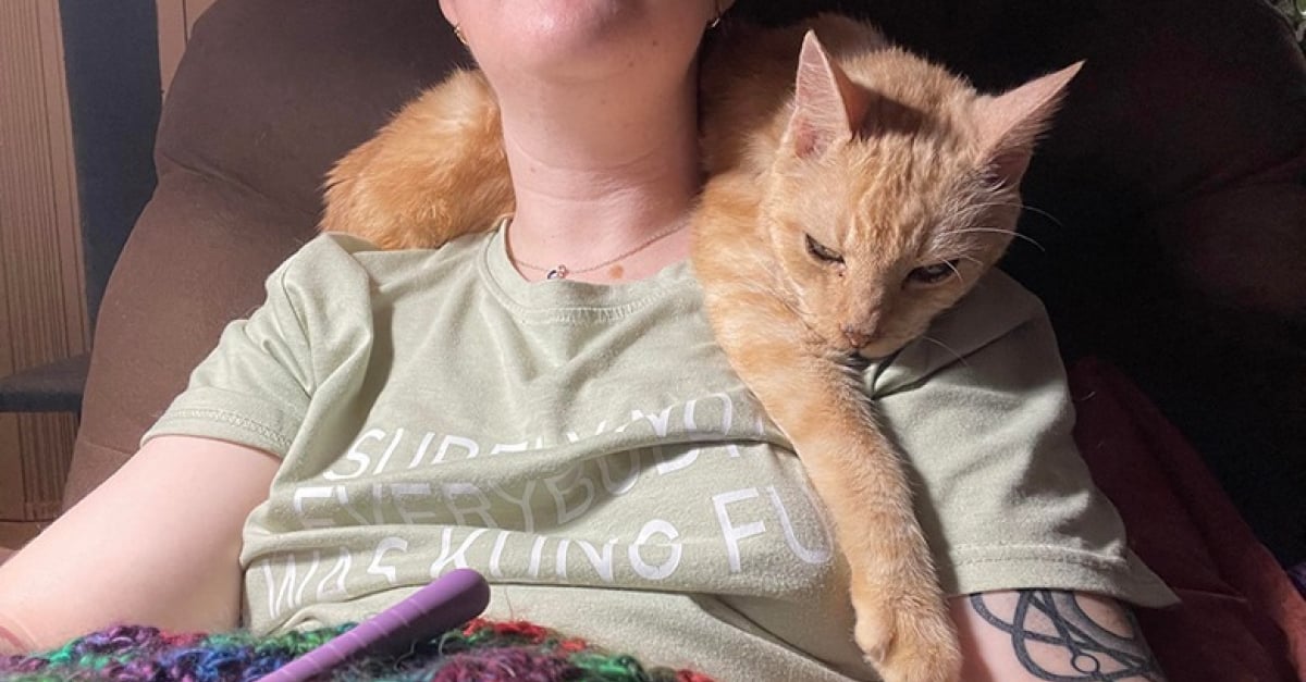 Un Chat Age Trouve Un Nouveau Foyer Apres La Mort De Son Maitre Et Temoigne Sa Reconnaissance