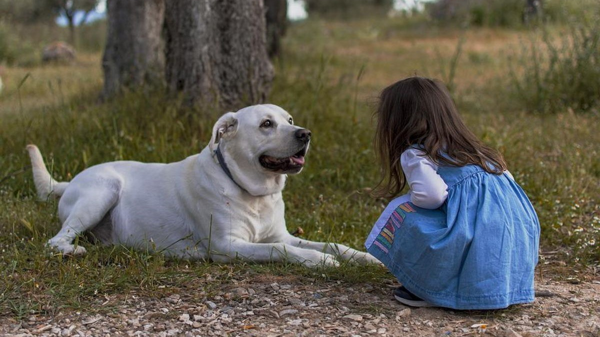 Illustration : "Pour un enfant autiste et sa famille, le chien d'assistance ouvre littéralement de nouveaux horizons, révèle une étude"