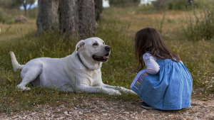 Illustration : Pour un enfant autiste et sa famille, le chien d'assistance ouvre littéralement de nouveaux horizons, révèle une étude