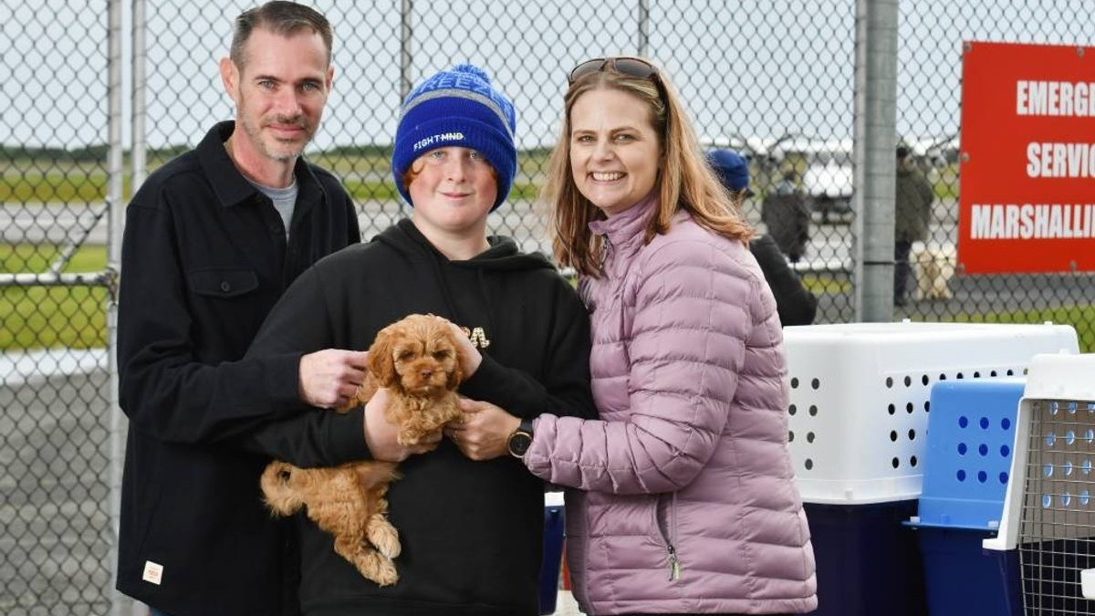 Illustration : "Une famille souhaitant adopter un chiot est victime d'une grosse arnaque, une éleveuse leur vient en aide !"