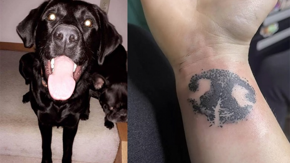Illustration : "Une femme perd son chien subitement et décide de lui rendre hommage avec un tatouage des plus touchant "