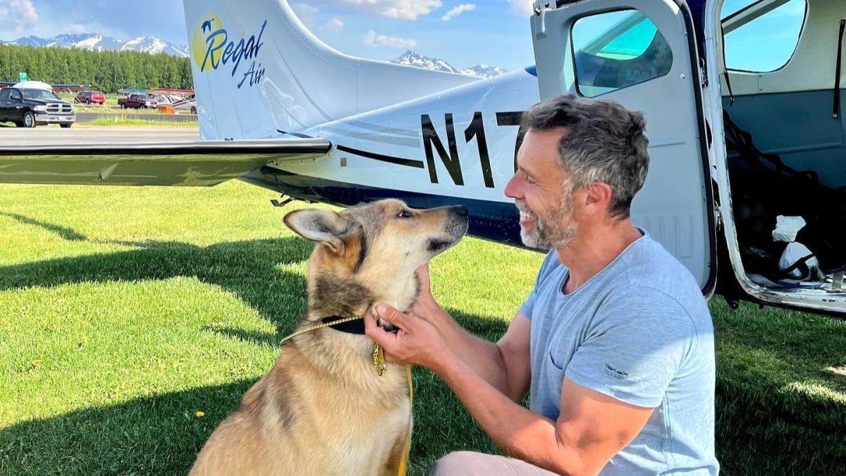 Illustration : "Un chien disparaît lors d'une course de traîneaux et erre seul dans la nature pendant 3 mois !"