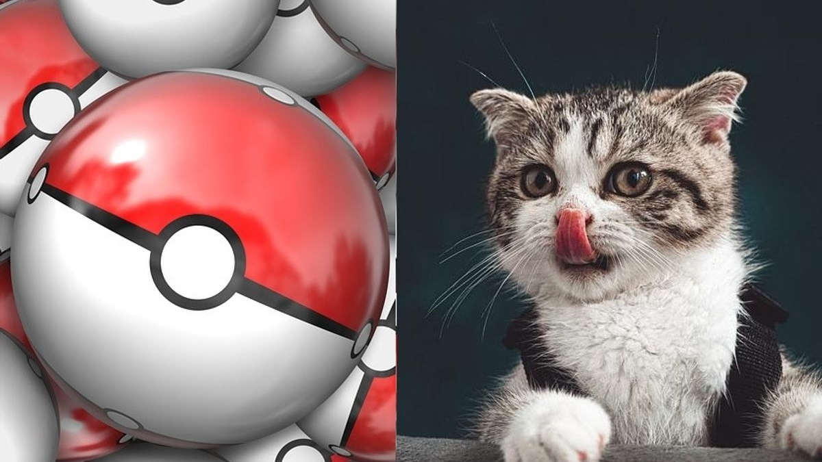 Illustration : "20 noms pour chat inspirés de l’univers Pokémon"