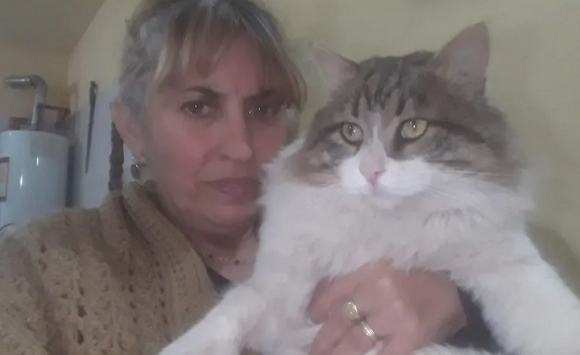 Chiquito Le Chat De Gouttiere Geant Qui N Arrete Pas De Grandir Chiquito Le Chat De Gouttiere Geant Qui N Arrete Pas De Grandir