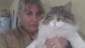 Illustration : Chiquito, le chat de gouttière géant qui n’arrête pas de grandir