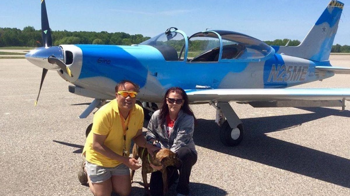 Illustration : "Ce pilote d’avion à la retraite vole désormais pour sauver des chiens abandonnés"