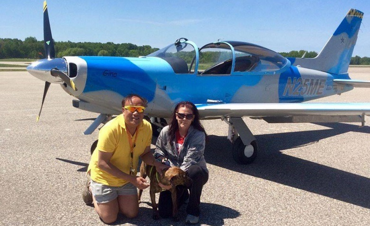 Illustration : "Ce pilote d’avion à la retraite vole désormais pour sauver des chiens abandonnés"