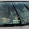 Illustration : Près de 50 chats découverts dans une voiture garée en plein soleil sur une aire de repos