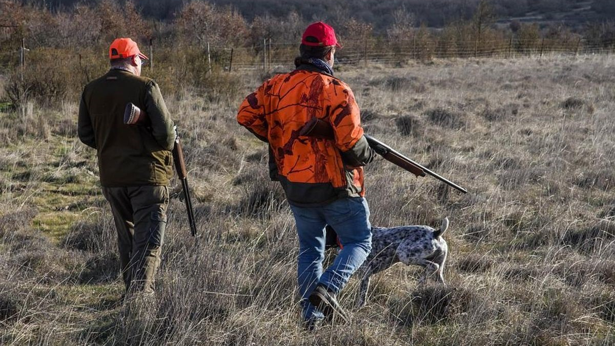 Illustration : "L'association PETA désavoue un refuge refusant aux personnes pro-armes à feu d'adopter un animal de compagnie"