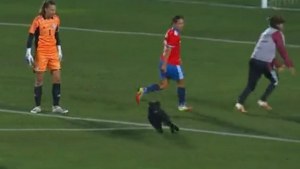 Illustration : Vidéo : Ce chien interrompt un match de football féminin international et réclame des caresses aux joueuses 