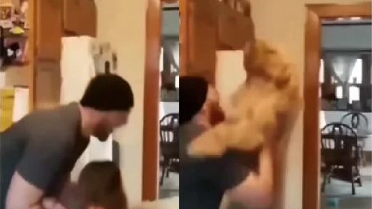Illustration : "Un homme joue à faire voler sa fille dans les airs, son chien en demande autant (vidéo)"