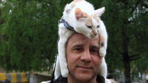 Illustration : Choupette, la chatte qui a sillonné la France sur la tête de son maître, prend sa retraite