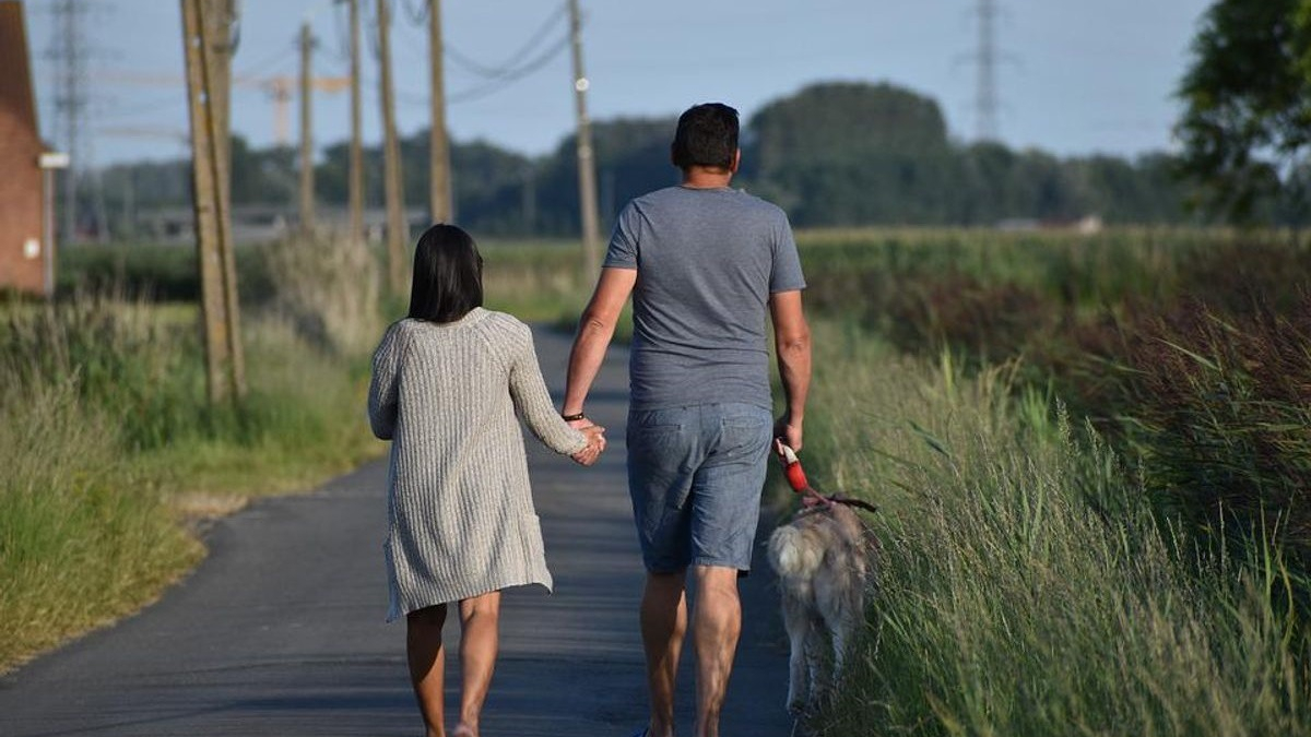 Illustration : "Dans cette commune anglaise, les propriétaires canins surpris sans sac à crottes risquent une amende"