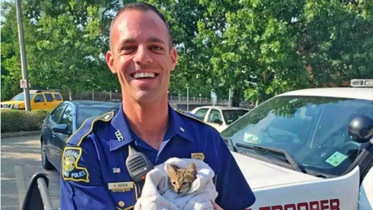 Illustration : "Une chatonne sauvée du haut d’un pont par des policiers se voit offrir un foyer chez l’un d’eux"