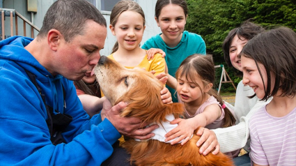 Illustration : Une Golden Retriever aveugle et âgée retrouve sa famille après 3 semaines d’errance