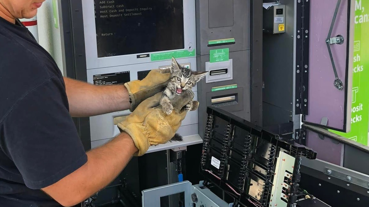 Illustration : "Les pompiers tentent de libérer un chaton prisonnier d'un distributeur de billets"