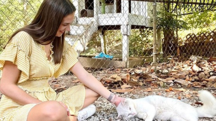 Illustration : Une Tiktokeuse met sa notoriété au profit de la cause animale et offre ainsi une nouvelle vie à 2 chats errants