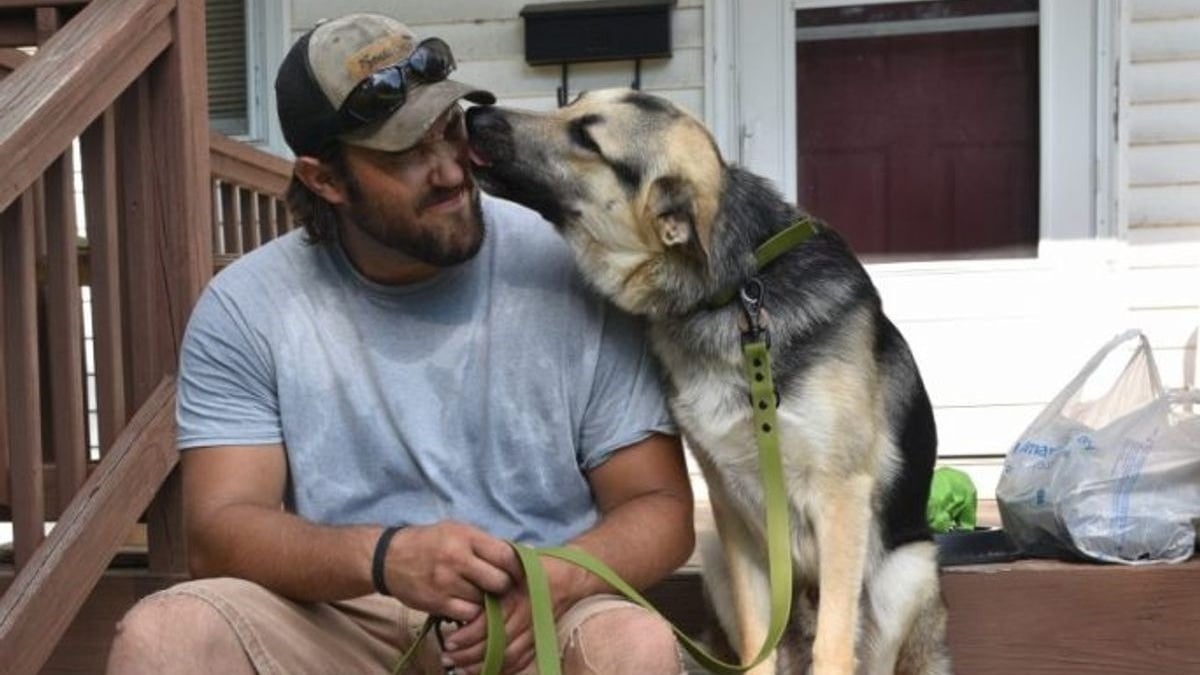 Illustration : "Un chien d'assistance rencontre son ami pour la vie, un ancien militaire, grâce à une association"