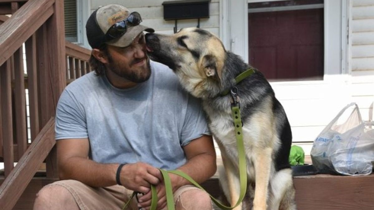 Illustration : "Un chien d'assistance rencontre son ami pour la vie, un ancien militaire, grâce à une association"