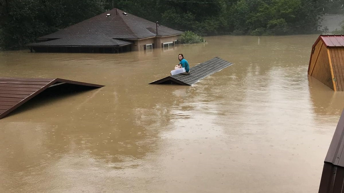 Illustration : "Piégée par les inondations, une adolescente fait de son mieux pour garder son chien hors de l'eau en attendant les secours"