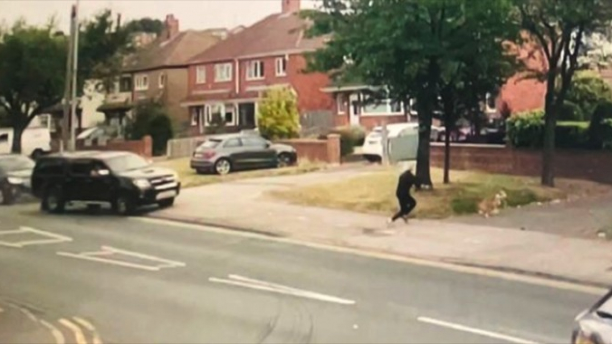 Illustration : "La vidéo d’un chien qui sauve sa maîtresse d’un chauffard alors qu’ils se promenaient sur le trottoir"